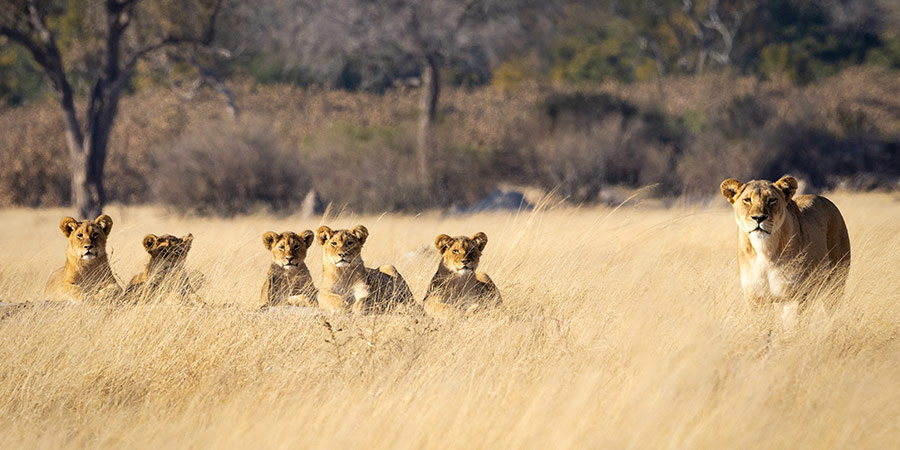 Hwange National Park